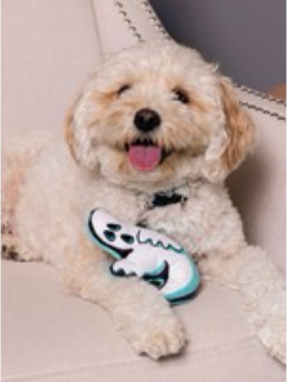 👻 NWT Made By Us Exclusive Halloween Ghost Squeaky Dog Toy 👻